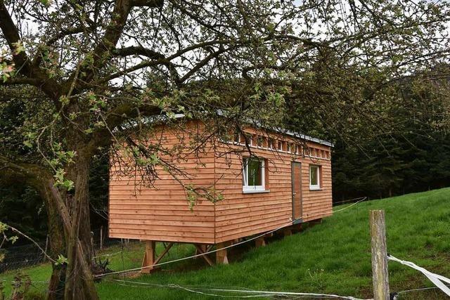 Auf dem Schümperlehof im Wildtal sollen vier Tiny-Houses als Ferienhäuser aufgestellt werden