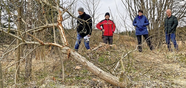 Die beschdigte Ausgleichsmanahme im ... Harald Nssle vom NABU Grafenhausen.   | Foto: Wilfried Dieckmann