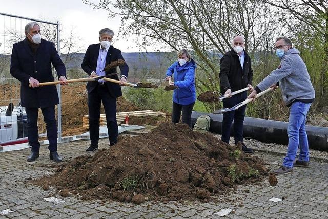 Die Sonnenblume wird zur Kita Hsingen