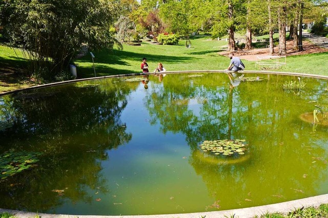 Botanischer Garten.  | Foto: Anna-Dorothea Witte-Rotter