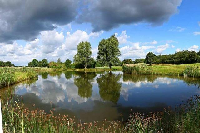 Respektabler Wolkentag in Munzingen