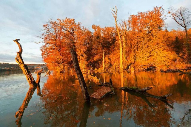 Wildnis nach dem Kraftwerk im Stausee  | Foto: Martin Schulte-Kellinghaus