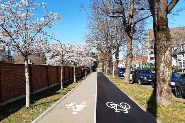 Verkehrsplaner legen Kompromiss fr Radweg-Umbau am Freiburger Hauptfriedhof vor