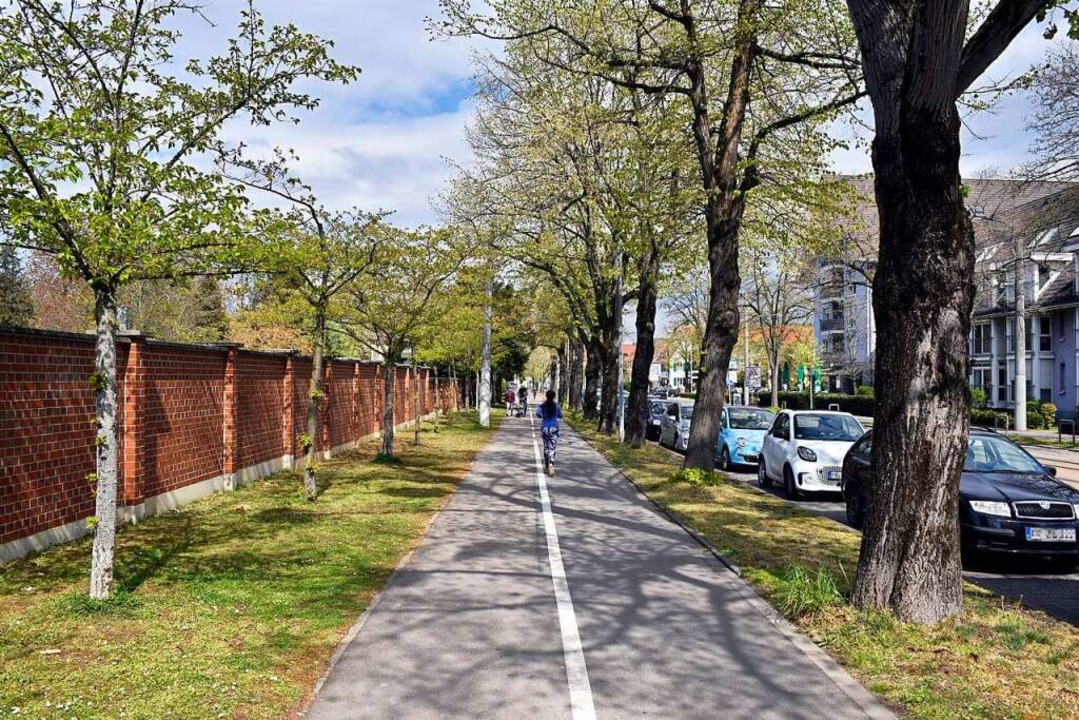 Momentan ist der Radweg etwas schmaler...nicht ganz so nah an den Baumwurzeln.   | Foto: Thomas Kunz