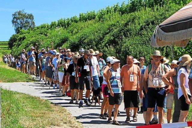 Kulinarische Weinwanderung in Oberrotweil abgesagt