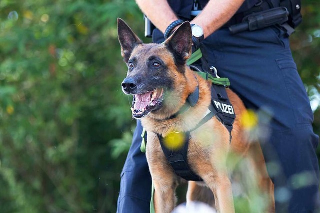 Mit ihm sollte man sich besser nicht a...ierbeiniger Polizeibeamter  im Dienst.  | Foto: Polizeiprsidium Freiburg