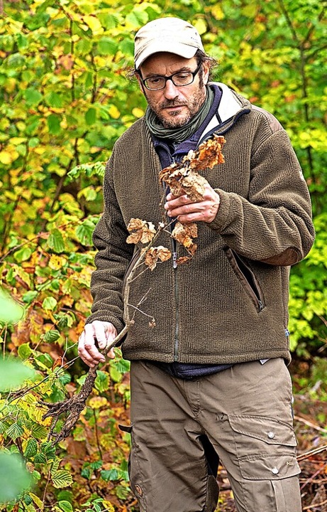 Ein trauriges Bild fr Steffen Wolf im...ie neu gepflanzten Eichen vertrocknet.  | Foto: Wolfgang Scheu