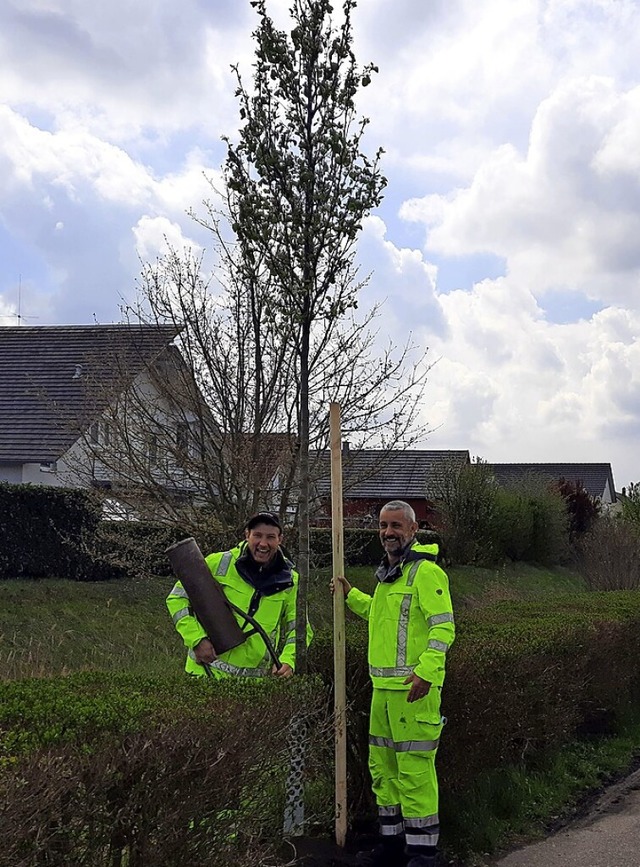 Dominik Kbele und Andreas Kollmer vom Bauhof haben gepflanzt.  | Foto: Gemeinde Ringsheim
