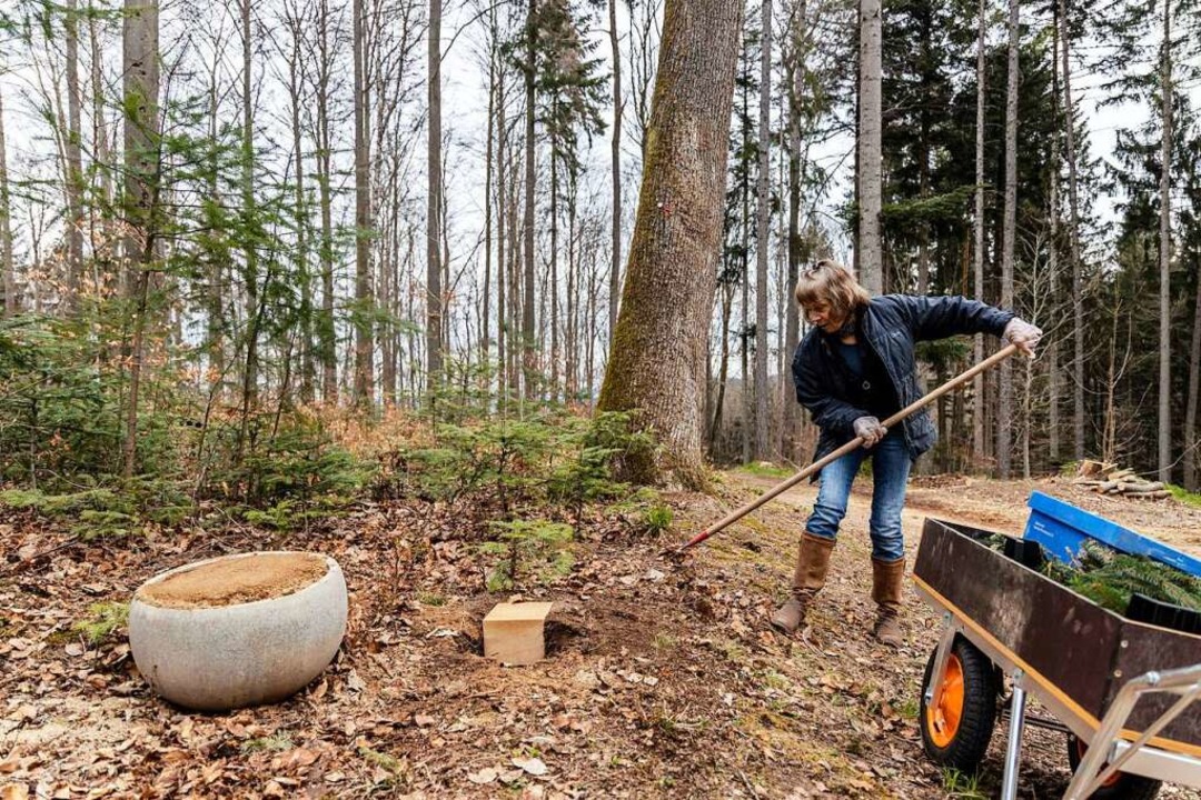 Beerdigung Unter Einem Baum