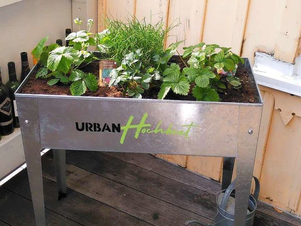 Das Urban Hochbeet  | Foto: Anna Castro Ksel