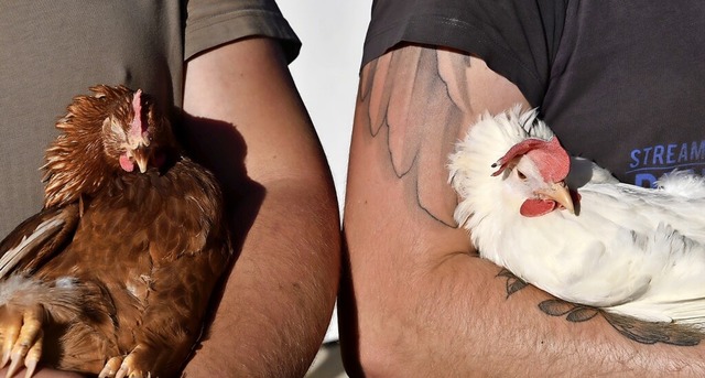 Damals wie heute gibt es auf einem Bauernhof viel zu schaffen.   | Foto: privat