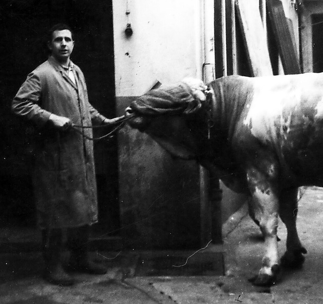 Vom Stall in die Metzgerei: Karl-Heinz Hrn holt eine Kuh ab.   | Foto: privat