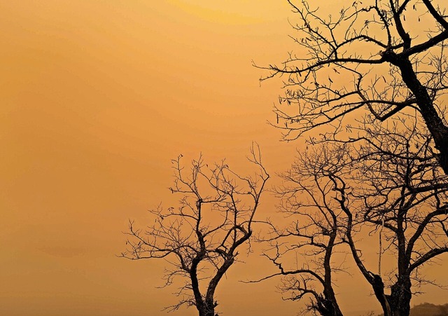 Sand aus der Sahara staubte den Himmel ein.   | Foto: Sebastien Bozon