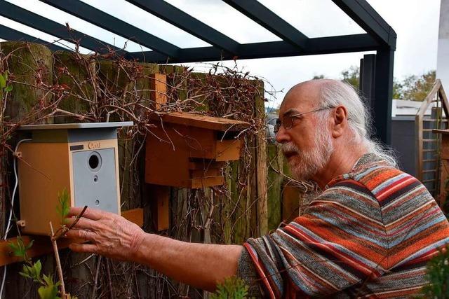 Pensionierter Biologe aus Grenzach-Wyhlen filmt Meisen in ihrem Nest