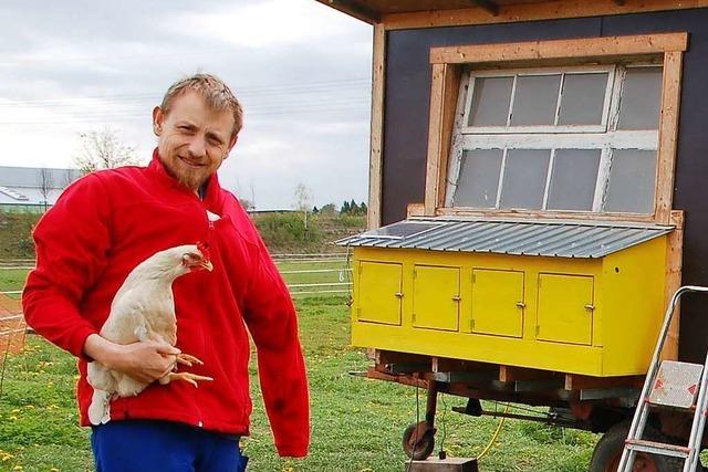 Einst verpasste der Tierarzt den Hhnern in Rheinfelden Spritzen