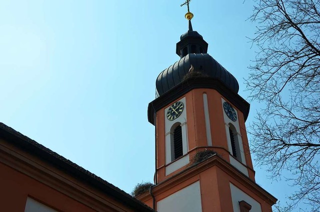Am Kirchturm von St. Ulrich liegen die Nester auf zwei Etagen.  | Foto: Felix Lieschke