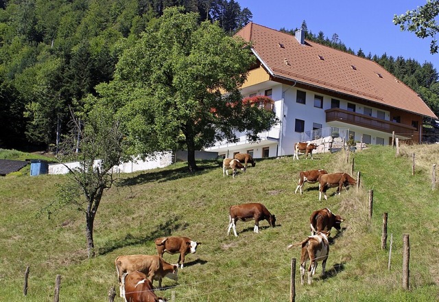 In Siegelau, da ist der Himmel blau &#...rland&#8220; viele dunkle Wolken auf.   | Foto: Bernd Fackler