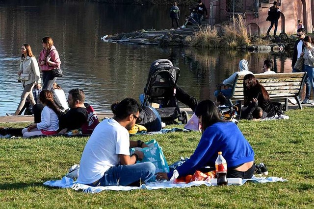 Am Seepark soll im August ein Picknick-Konzert ber mehrere Tage stattfinden.  | Foto: Thomas Kunz