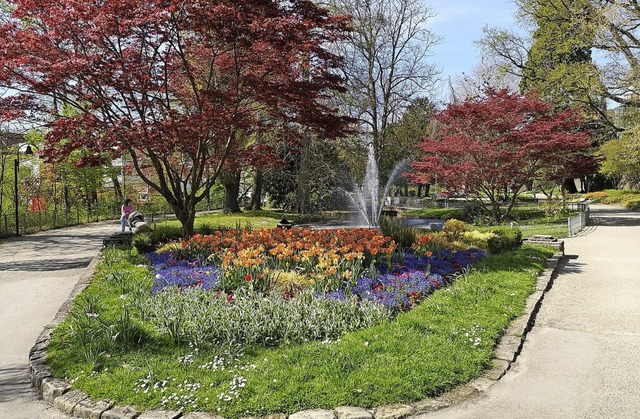 Der Zwingerpark ist in die Jahre gekom...wachstellen: Diese gehrt nicht dazu.   | Foto: Ralf Burgmaier