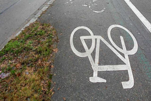 BZ-Umfrage: Das Thema Radverkehr spaltet Rheinfelden