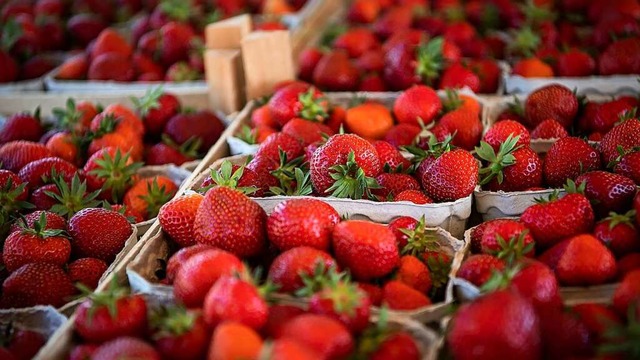 Frisch gepflckte Erdbeeren (Symbolbild)  | Foto: Sina Schuldt (dpa)