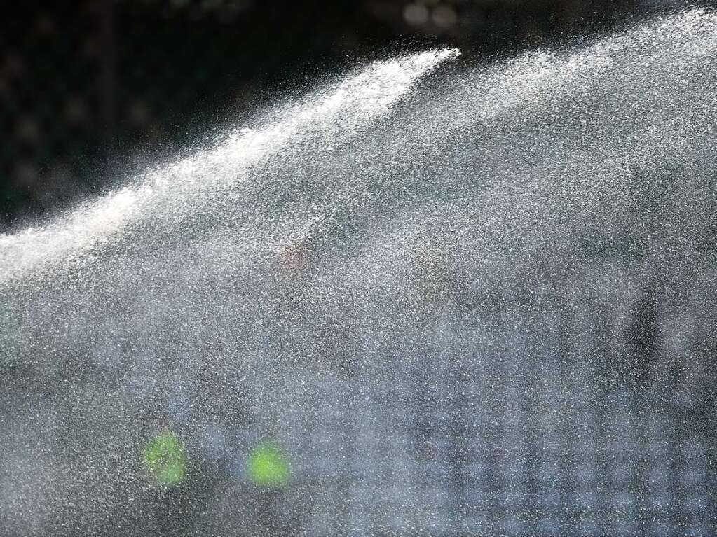 Das Schwarzwald-Stadion zeigte sich vor dem Spiel von seiner besten Seite: Sonnenschein, perfekt angerichteter Rasen. Einzig die Fans fehlten.