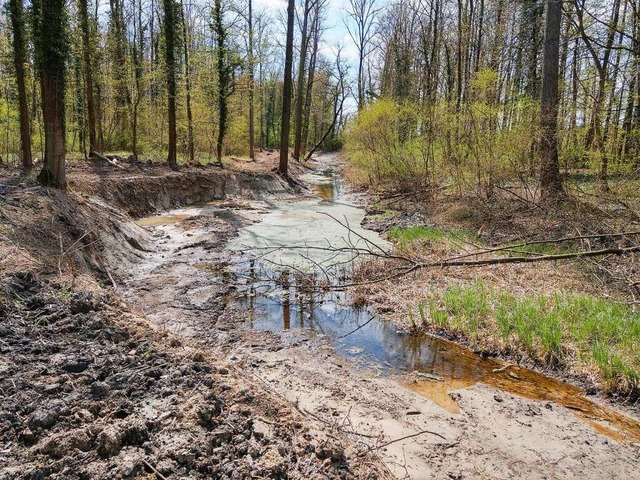 Die Steingrienkehle, die zum  Schluten...ld gehrt, wurde naturnah umgestaltet.  | Foto: Regierungsprsidium Freiburg