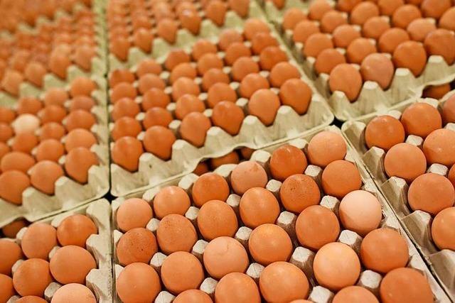 Transparenz bei Eiern in Fertigprodukten nutzt allen