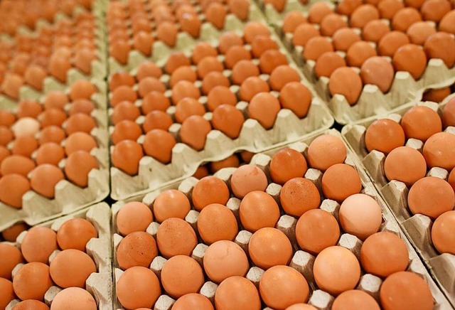 Wo kommen die Eier her, die von der Lebensmittelindustrie verarbeitet werden?  | Foto: Julian Stratenschulte