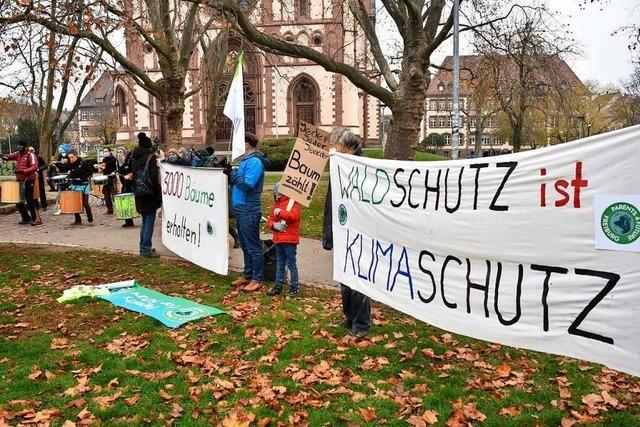 Menschen in Freiburg wollen lieber Strom sparen als vegan essen