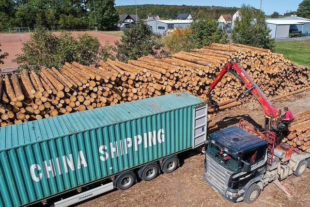 Steigende Holzpreise erreichen Waldbesitzer im Landkreis noch nicht