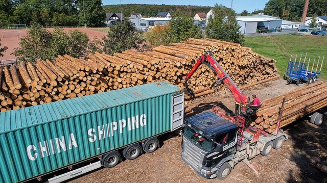 Fichtenholz wird fr den Transport nac...profitieren Waldbesitzer bisher nicht.  | Foto: Thomas Frey