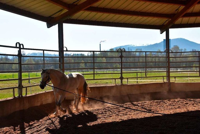 Eine Longierhallel fr Pferde mchten die Inhaber des Thomashofs in Burg bauen.  | Foto: Heinz und Monika Vollmar