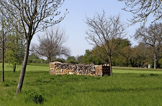 Der Holzsto auf der Wiese ist ein Bli...t aber vor allem kologischen Zwecken.  | Foto: Alexander Huber