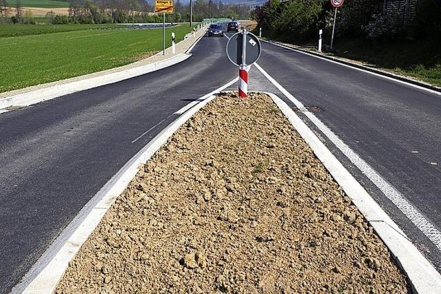 Autofahrer ignorieren die Querungshilfe