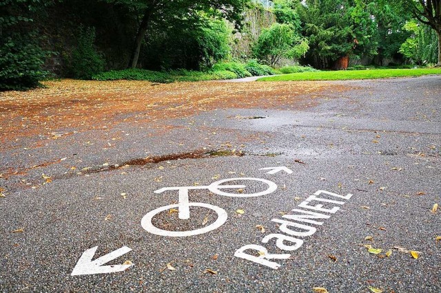 Das Offenburger Radwegenetz soll nach ...zerinnen und Nutzer verbessert werden.  | Foto: Ralf burgmaier