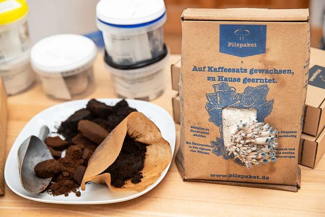 Taubenblaue Austernseitlinge wachsen a... bestehend aus Kaffesatz mit Pilzbrut.  | Foto: Daniel Karmann (dpa)