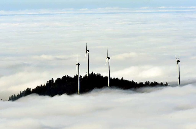 &#8222;Grne&#8220; Fonds melden Rekordzuflsse.  | Foto: Rolf Haid