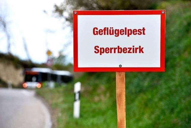 Freiburg hebt die Sperrbezirke auf