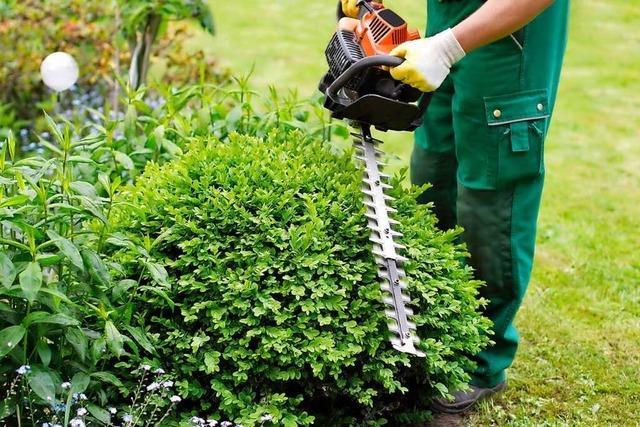 Was Mieter tun drfen, wenn sie den Garten pflegen