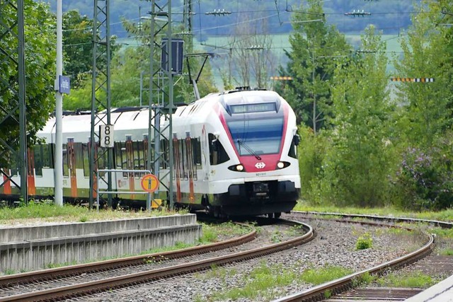Lrrach will, dass die Regio S-Bahn schneller ausgebaut wird.  | Foto: Peter Gerigk