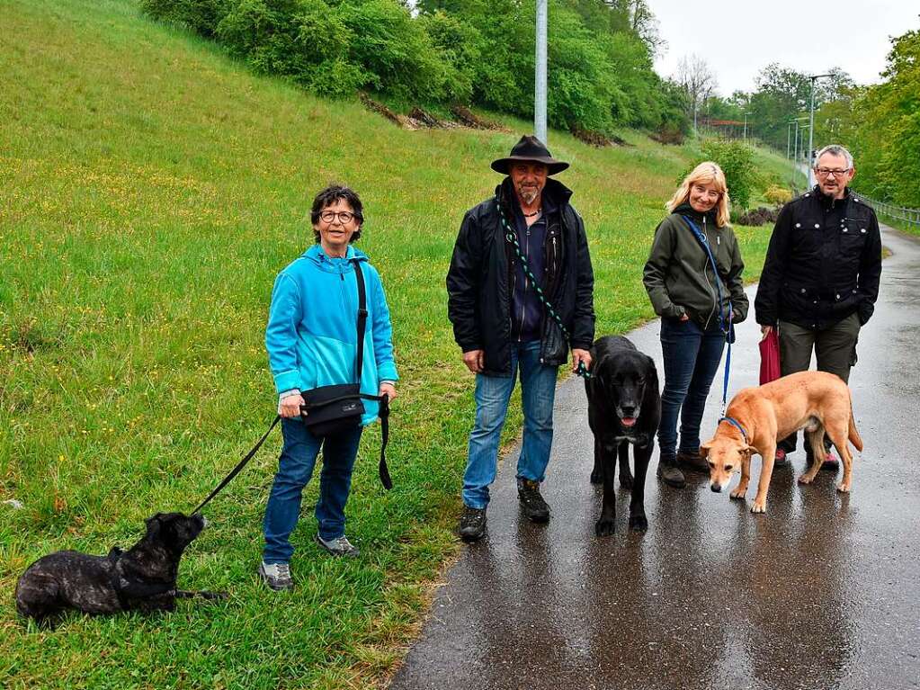 Nicht nur Corona, sondern auch das schlechte Wetter sorgten dafr, dass am Maiwochenende wenig an sonst beliebten Wanderzielen wie der Burg Rtteln los war.