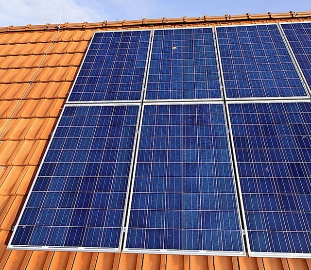 Fotovoltaik auf privaten Dchern wird gefrdert.  | Foto: Friso Gentsch (dpa)