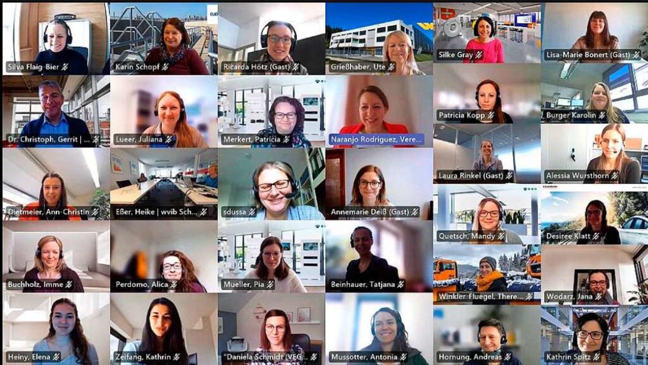 Zumeist jngere Frauen aus allen Quali...uen-Netzwerktreffen des wvib zusammen.  | Foto: Screenshot Frauen-Netzwerk WVIB (Teams-Konferenz)