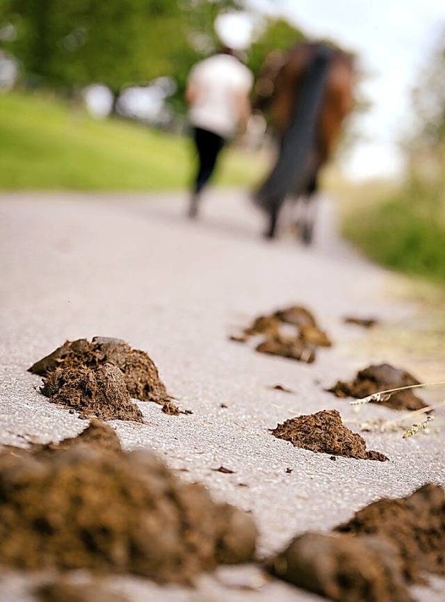 Pferdemist auf einem Weg  | Foto: M.Drr & M.Frommherz  (stock.adobe.com)