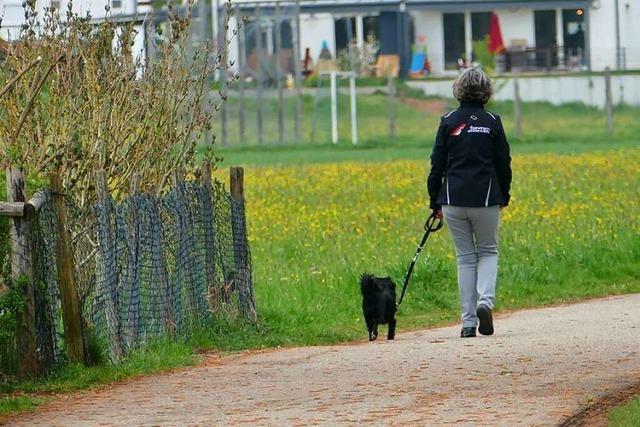 Hundekot auf Feldern ist nicht nur unappetitlich