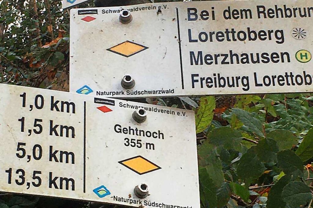 Gehtnoch: der Wegweiser im Wald zwischen Lorettoberg und Luisenhöhe  | Foto: Gernot Erler