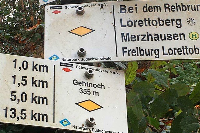 Gehtnoch: der Wegweiser im Wald zwischen Lorettoberg und Luisenhhe  | Foto: Gernot Erler