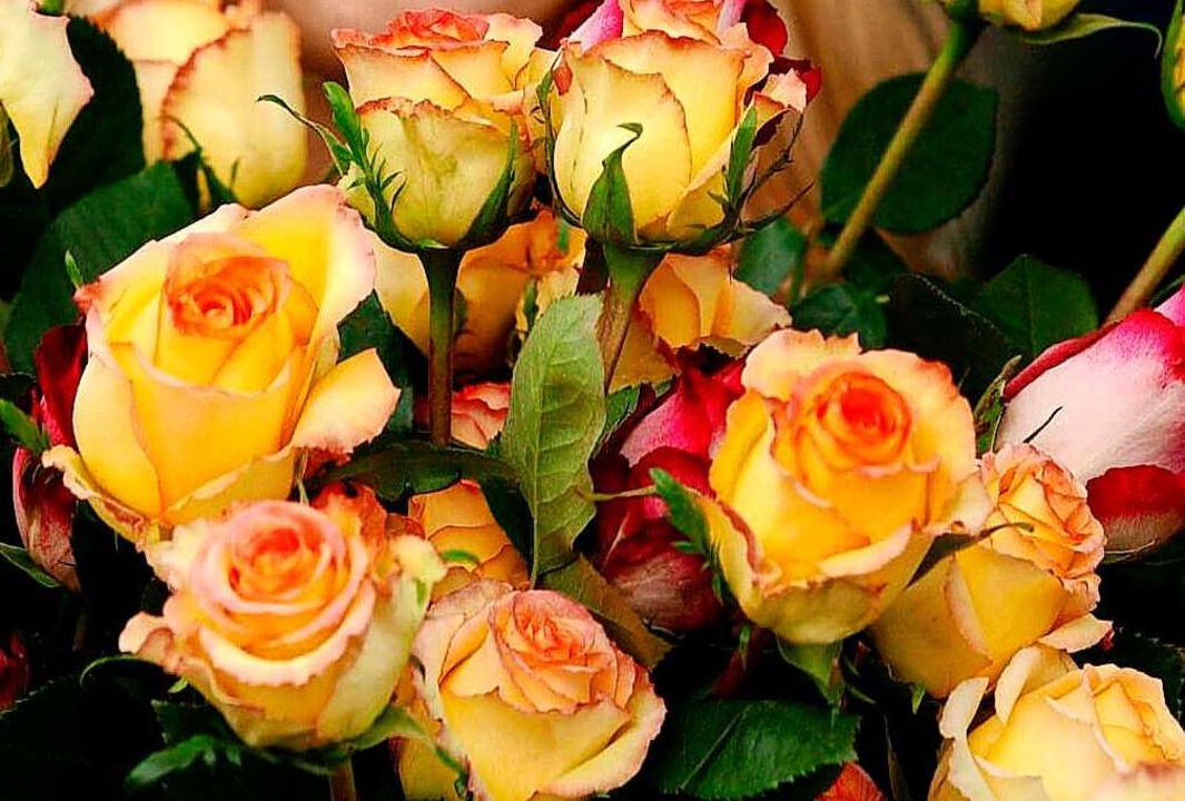Es sind die kleinen Dinge, die einem e...zum Beispiel ein Strauß schöner Rosen.  | Foto: Franz Peter Tschauner