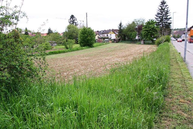 Auf dieser Flche am Bahlinger Ortsein...r L 116 gehren bereits dem Bauherren.  | Foto: Christiane Franz